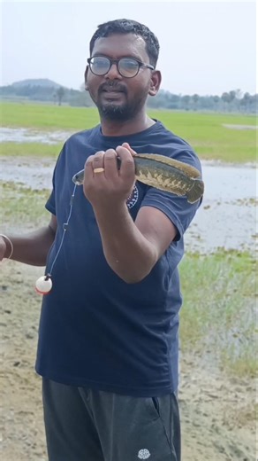 Viral fishing New location