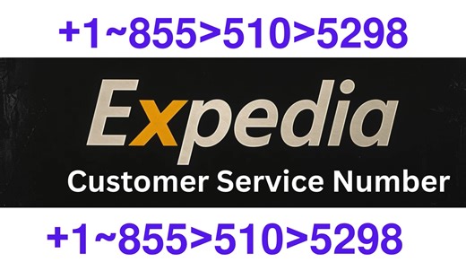 Official Expedia® Support Guide: Get Priority Human Assistance Anytime