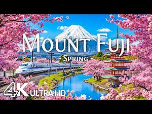 Spring at Mount Fuji, Japan 4K 🌷 Discover Sakura Paths, Serene Lakes & Iconic Mountain Beauty 🌷