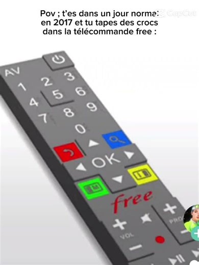 qui croqué dans la télécommande free???
