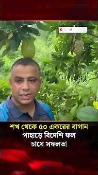 শখ থেকে ৫০ একরের বাগান, পাহাড়ে বিদেশি ফল চাষে সফলতা | Fruit Garden | Jago News