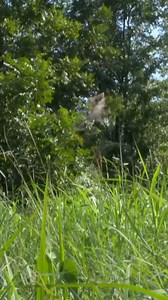 47K views · 447 reactions | Durant man hospitalized after Sunday night stabbing #kxii A Durant man is in a coma after he was stabbed Sunday night. By Olivia Thompson with KXII 12 News. #durantok #stabbing #SelfDefense | KXII-TV | Facebook