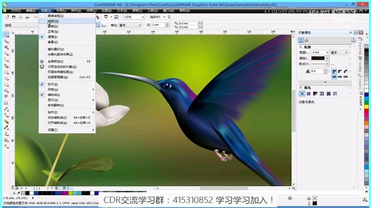 coreldraw软件 CDR软件x4x5x6x7X8美工平面设计全套在线视频教程1.CDR教程coreldraw官方教程了解Coreldraw的界面