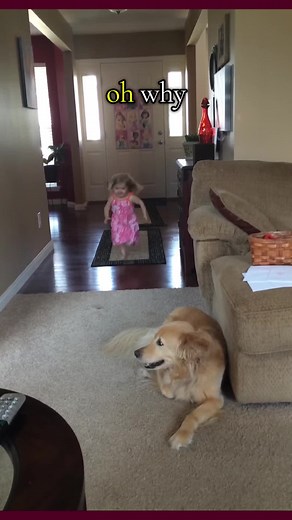 Danse de Bébé: Chanson et Musique avec Paroles