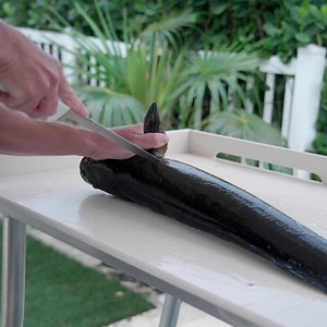 212K views · 1K reactions | Eating Florida's most Invasive fish... | Landshark Outdoors | Facebook