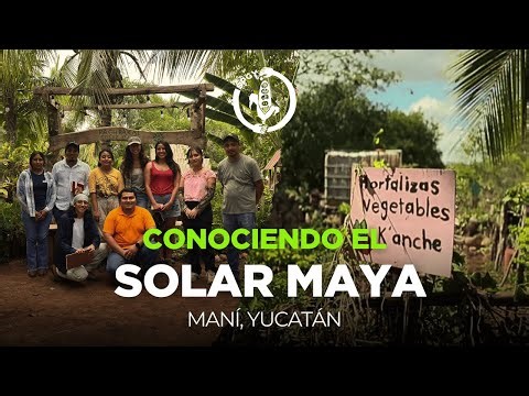 Sistemas agroecológicos de Yucatán: huerto o solar maya Pach Pakal - Maní