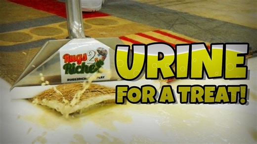 From stained to spotless: Deep cleaning a neglected area rug