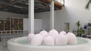 Laure Prouvost : folie douce au Palais de Tokyo