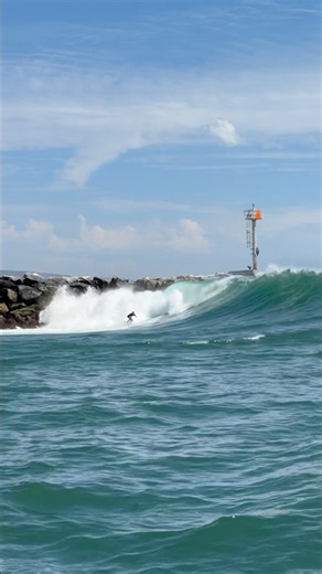 Surfers SHREDDING the Newport Harbor novelty wave!!! #Surfing #NewportBeach