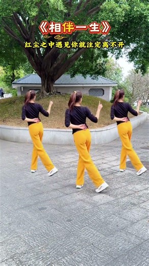 Learn Square Dance Basics: Step-by-Step Guide for Beginners