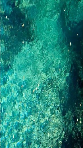 風景と音でリラックス#japan #nature #autumn