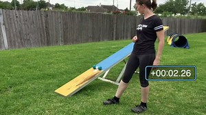 How much time is your dog really losing if they don't run to the end of the teeter? Watch the entire Facebook Live on the teeter here --> http://baddogagility.com/all-about-the-teeter/ | Bad Dog Agility