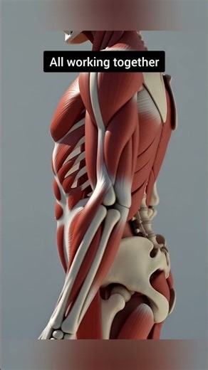 This Is What Your Body Is Made Of 🧬 | 3D Animation