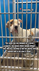 2.4K reactions · 367 comments | PLEASE HELP THIS PRECIOUS TERRIFIED...