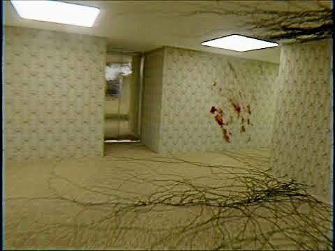 All The Backrooms - Found Footage (in one video)