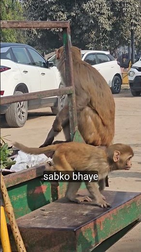 Zindagi ka safar sabka ek jaisa nahi hota #motivation #trandingmotivation