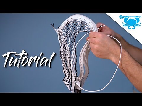 Tutorial: Warrior EVO QX-O