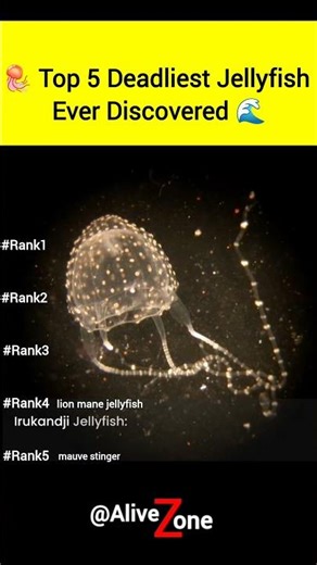Top 5 Deadliest Jellyfish Ever Discovered #alivezone #shorts #mysteriousfacts