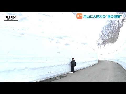 A breathtaking sight! The magnificent "snow corridor" has appeared on Mt. Gassan again this year,...
