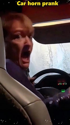 Car horn prank #funnyvideo #funny