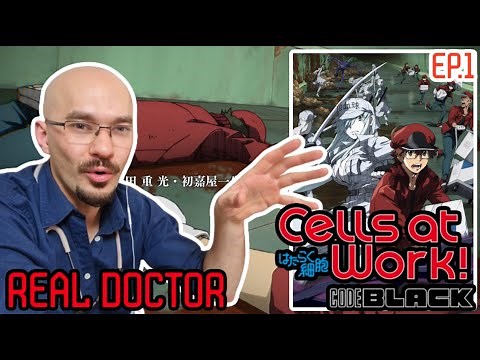 REAL Doctor reaction to Cells at work Code Black! Anime review | Hataraku Saibou Black