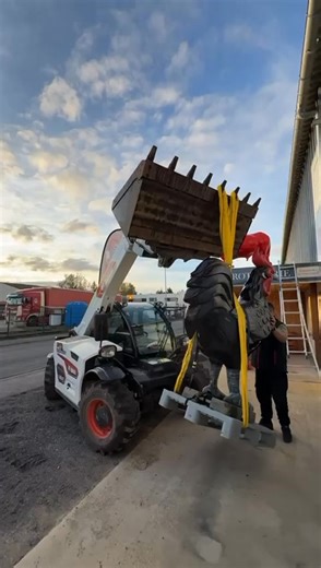 Merci FTC Isolation le coq qui va dominer la rue des industrie | Vdviande Jeanphi