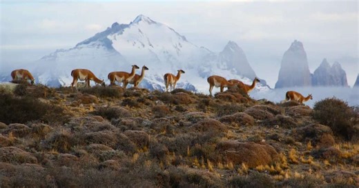 Turismo no Chile: 9 lugares para conhecer do deserto à Patagônia