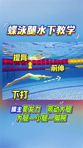 🚀Two kicks per second! The "dolphin kick" technique in butterfly stroke and 3 common mistakes! #d...
