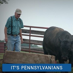 129K views · 3.7K reactions | Whether you're looking for muffins, mushrooms, or milk, look for the check and pick Pennsylvania. | Pennsylvania Department of Agriculture | Facebook