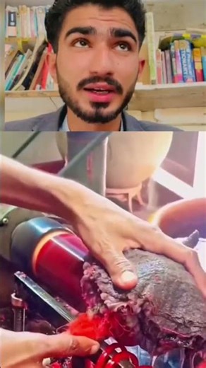 Beautiful Bangles for Women | Traditional Jewelry of Pakistan & India #bestreaction