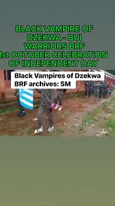 20 reactions | Ambazonia troops are firm in their resolve to liberate Ambazonia from Cameroun | Africa News Line 700 | Facebook