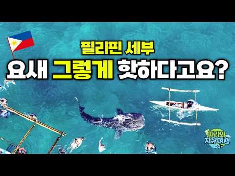🇵🇭2026년 요즘 '세부' 왜 다시 뜰까? 이유가 뭘까? 직접 가봤습니다😎