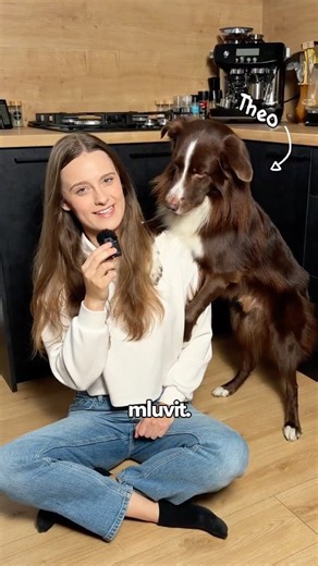 Učím svého psa mluvit 🐶