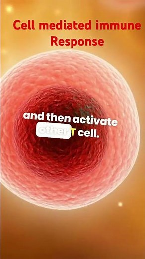 Cell-Mediated Immunity: The Body’s Cellular Defense System.#ctet #facts #htet #science #Cet#pgtbio#