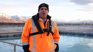 It makes up 0.001% of salmon production....but it's the best tasting salmon in the world... | Aquaculture New Zealand