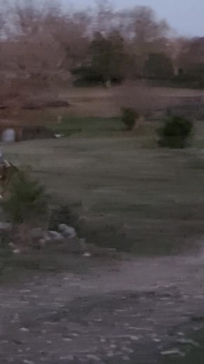 Im not sure how ive been a "barrel mom" for 20 years and I still can't video 🤣🤣, but ya get the point. Little toots 2nd time with a saddle and she has him loping! If only we had a barn to ride in 😬 she'd have him running barrels by spring. | Amanda Johnson