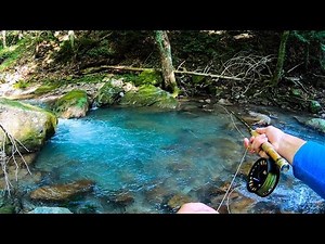 The BEST Brook Trout Stream EVER! (ULTRA CLEAR WATER)