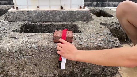 MELOTOUGH 4Pk 1" x 4ft Lashing Strap with Alligator Thumb Buckle Cargo Secure Webbing Up to 450lbs,Ladder Straps,Tie Down Straps,Utility Straps with Clips,Red