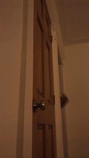 At least let me poop first #paranormal #scary #poltergeist #supernatural #horror #jumpscare #creepy #nightmare #nightmarefuel #creepy #entity #monster #mystery #beast | SL