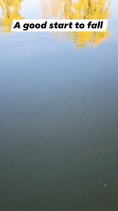 9.1K views · 58 reactions | Good start! #bluegill #crappie #crappiefishing #catchandrelease #fishinglife #angler #fishingaddict #fish #fishing #panfish | TUT Outdoors | Facebook