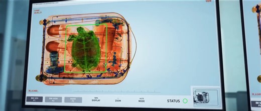 RSPCA releases animals deserve Respect video