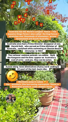 Weird, Interesting and Funny Facts about Australia 🇦🇺 | Rosalie Labrador Munro