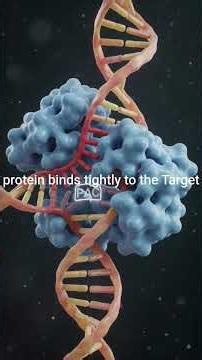 How CRISPR-Cas9 Edits DNA with Amazing Precision