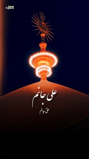 Shah Of Najaf | شاہ نجف | Sajjad Muhammadi Noha Short Stutus | سجاد محمدی