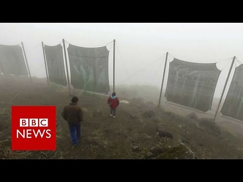Cloud Catchers of Peru - BBC News