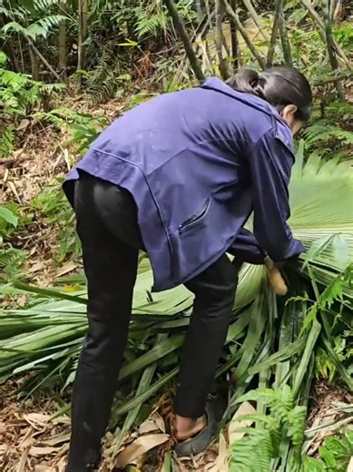 How to build a farm - design and complete a chicken coop