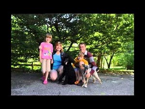 Rescued Poodles 2013