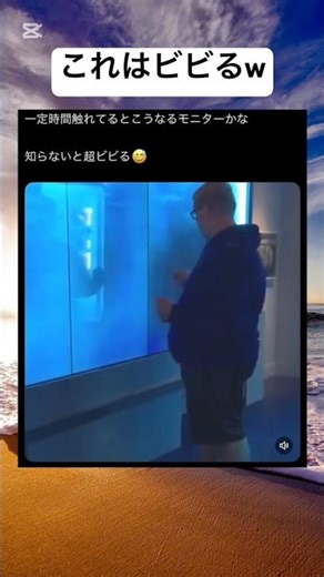 #shorts#海外#モニター#面白い#笑える#びっくり