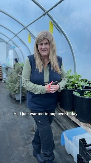 Garden wear for gardeners!! 🌿 I just had to pop on here and tell you about my @genusgardenwear clothes - because I’ve finally got my own!! 🤪😂 The horticultural team here at @fieldgateflowers swear by them and I’ve always been a bit jealous, so when Genus offered me some of my own I snapped their arm off! But honestly, the team wouldn’t rave about them for no reason, some of the girls have had theirs for years and they’ve seen them through all sorts of mucky, tough days! They’re waterproof for