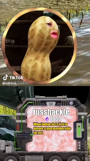 Understanding the Bungulator Meaning in Tarkov
